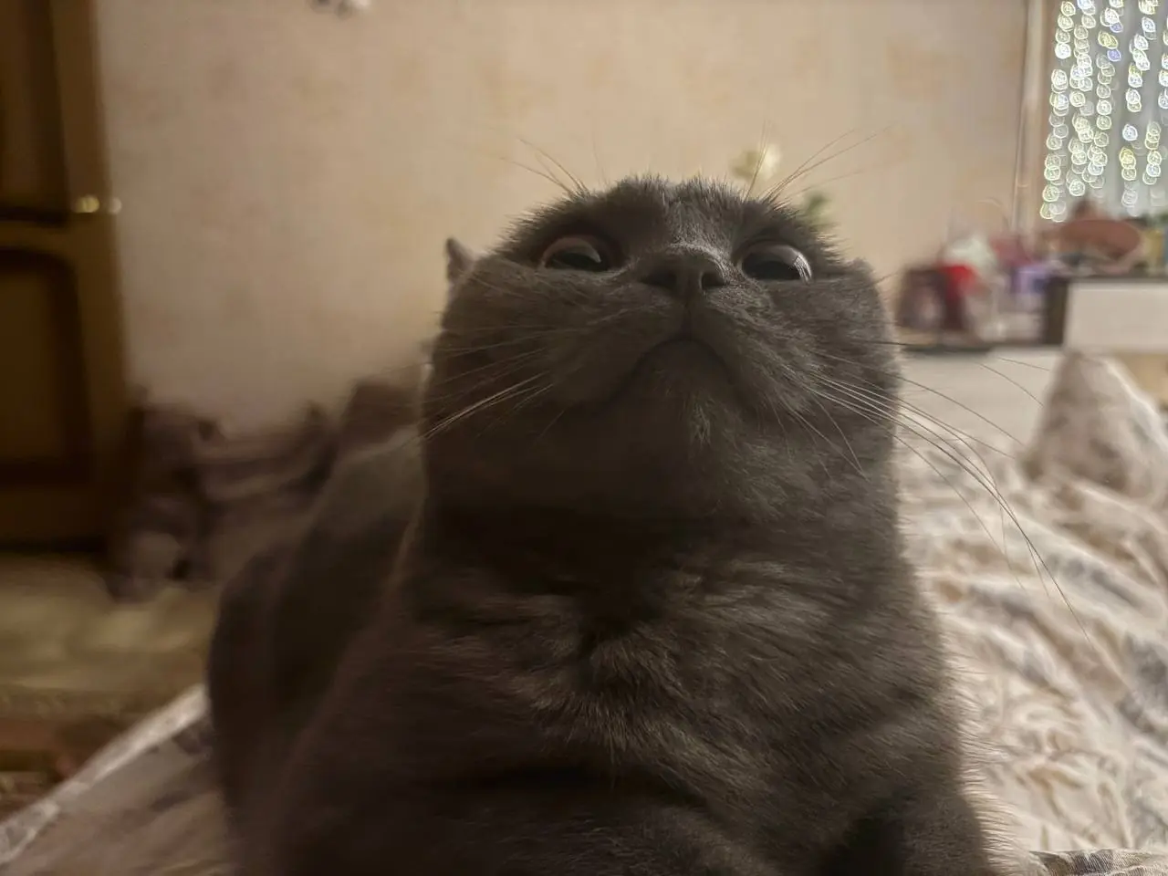 vvvvvvvvvvvvvvvvvvvvvvvvvvvvvvvvvvvvvvvvvvvvvvvvvvvvvvvvvvvvvvvvvvvvvvvvvvvvvvvvvvvvvvvvvvvvvvvvvvvv